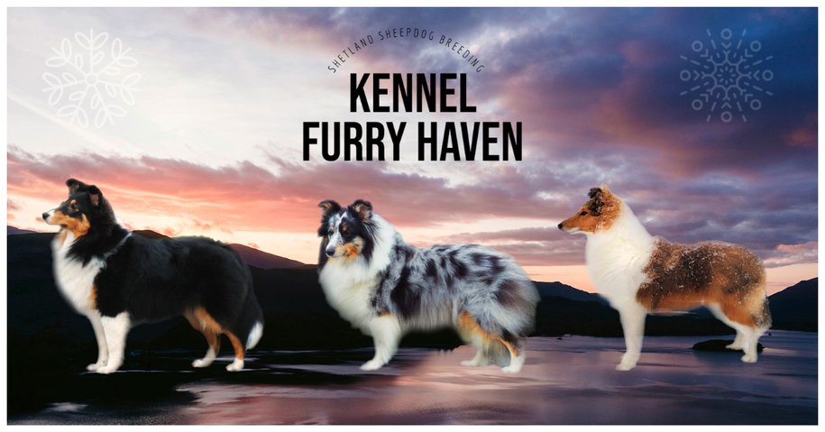 Kennel Furry Haven